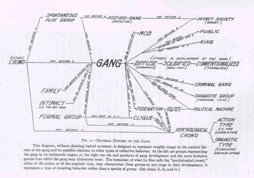 Diagramma schematico formulato da Thrasher in cui si prefigurano le possibili traiettorie delle gangs. (The Gangs/Thrasher)